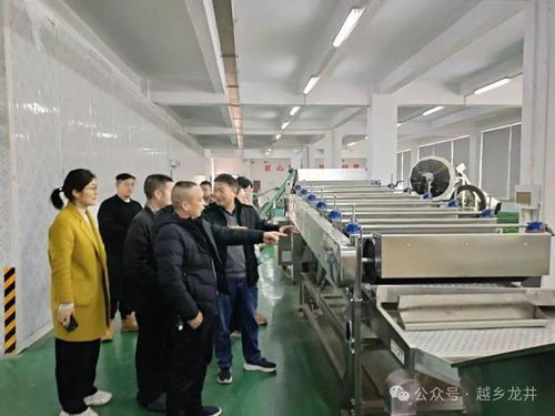俞燎遠研究員深入嵊州調研，為茶產業技術推廣與升級把脈開方